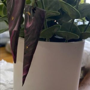 Hand made Polymer Earring